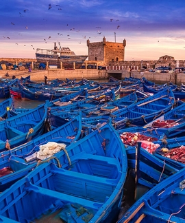 Day Tour from Marrakech to Essaouira